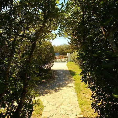 Appartement Pellicano *